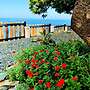 Castara Inn