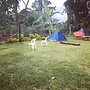 Ben And Lily Cottages