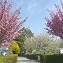 Camping - Caravaning les Cerisiers Berck sur Mer