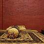 Majapahit Homestay by Bhagaskara