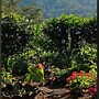 Matagalpa la Tierra Land Of Dreams