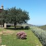 Sulle onde della collina