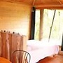 Cabane des cerfs