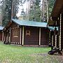 Silent Forest - Campsite