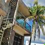 Kaeli's Caribbean Studios