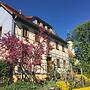 In der alten Weinstube