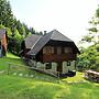Spacious Chalet with Sauna near Ski Area in Wolfsberg