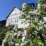 Wohnung in der Nahe des Skigebietes Battenberg