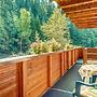 Rustic Black Forest Getaway