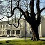 Kasztanowy Pałac