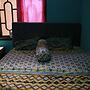 Sarjuni Homestay - Hostel