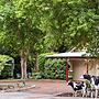 The Noble Grape Guesthouse