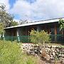 The Fig Tree B & B