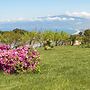 Popilia Country Resort