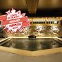 Himeji Castle Grandvrio Hotel
