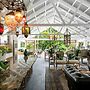Noosa Valley Manor B&B Retreat