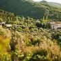 Natur-Med Hot Springs and Health Resort