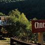 Entre Pampa y Bosque