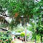 Kallycave Eco Lodge