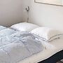 4 Star Holiday Home in Hejls