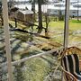 4 Person Holiday Home in Hammar