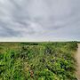 5 Star Holiday Home in Ebeltoft
