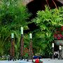 Almond Tree Hotel Resort