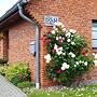 Gemutliches Apartment in Rovershagen mit Garten