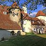 Castle in Le Veurdre Near Forest and River