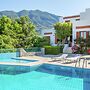 Villa in Lefkogia With Private Pool