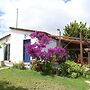 Holiday Home With Garden in Kritinia