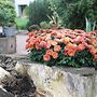 Spacious Villa With Terrace in Kagsdorf