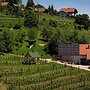 Vineyard cottage Škatlar 3