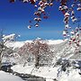 Appartementhaus Karlspitze Natur Pur