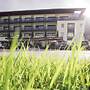 Eden Boutique Hotel