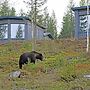 Bear Centre