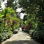 Rainforest Resort Phu Quoc