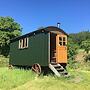 Cosy Woodland off Grid Shepherds Hut - Rowan