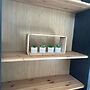GREEN PARK Apartment
