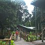 Borneo Nature Lodge