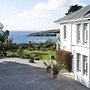 The Rosevine