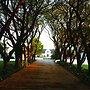 Kievits Kroon Gauteng Wine Estate