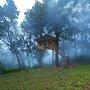 Nature Zone Jungle Resort