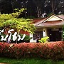 Green Home Resort