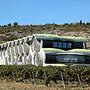 Mastinell Cava & Boutique Hotel by Olivia Hotels Collection