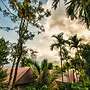 Grassroots Wayanad, Valley-view Tents
