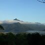 The Epiphyte Bed & Breakfast