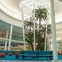 Universal's Cabana Bay Beach Resort