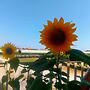 Triple Room for Rent With Private Bathroom in Molise - Wifi