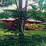 Villa Rodeo Lodge